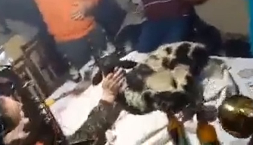 АХВ со осуда за инспекторот – најавуваат постапка против сите лица
