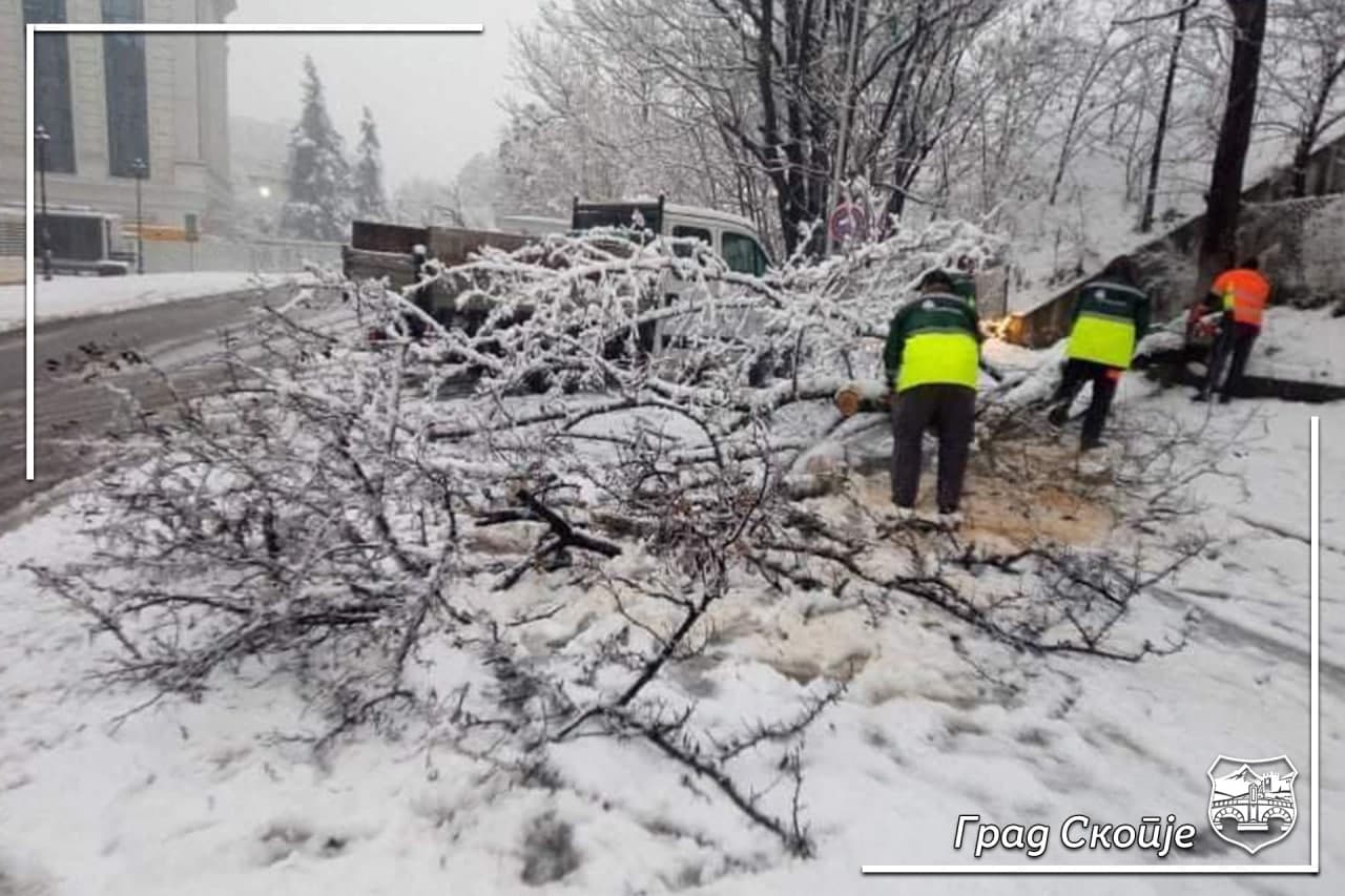Акција за расчистување на паднати дрвја и гранки на повеќе локации во Скопје