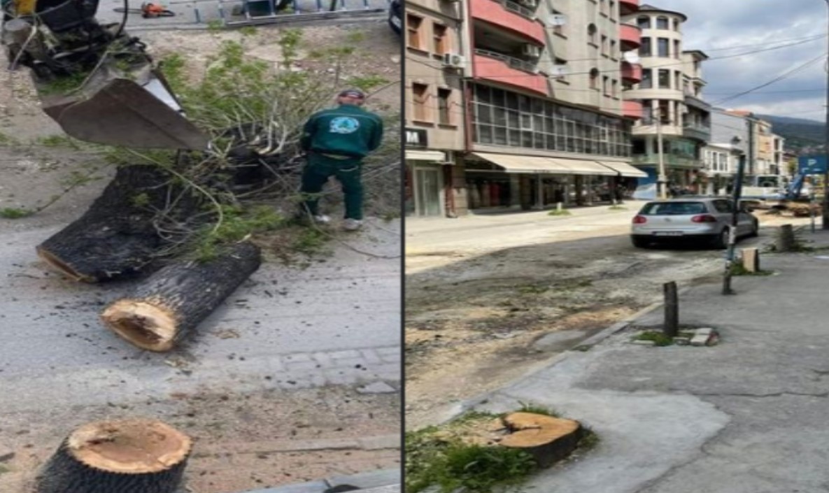 По реакциите на јавноста, прекинати работите на улицата „Страшо Пинџур“ во Тетово – Општината бара извинување и разбирање од граѓаните