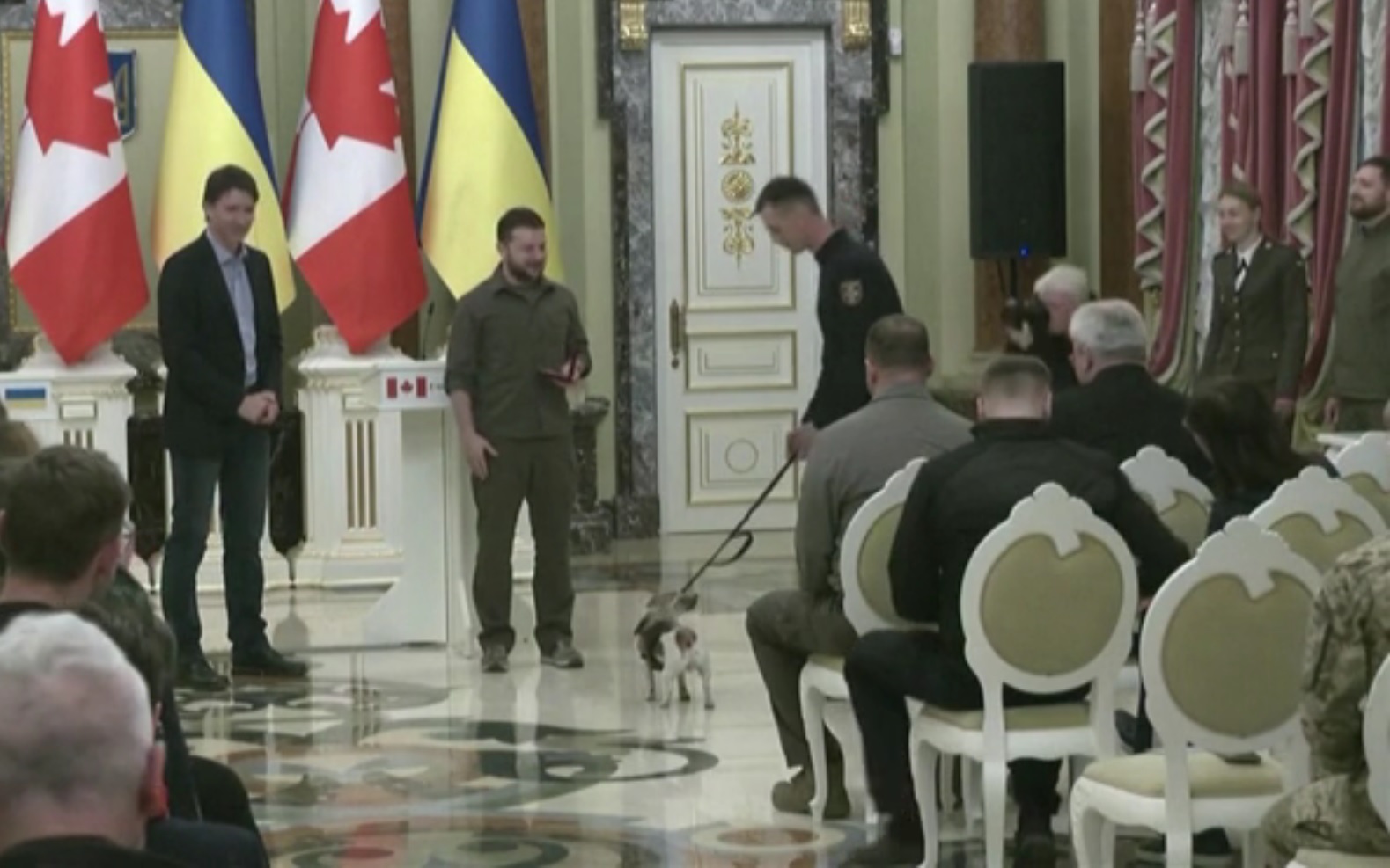 Кучето кое наоѓа мини во Украина – веќе доби медал од Зеленски (ВИДЕО)