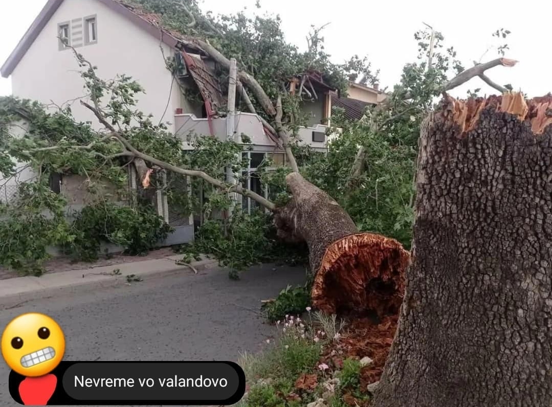 ФОТО: Дрво падна врз куќа во Валандово