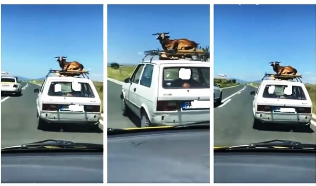 ФОТО: Прилепчани со прч одат на гости во Скопје?