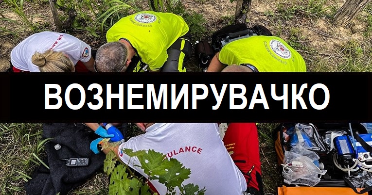 Хрватската државјанка родила во Унгарија, го оставила своето бебе во лозје, бебето починало
