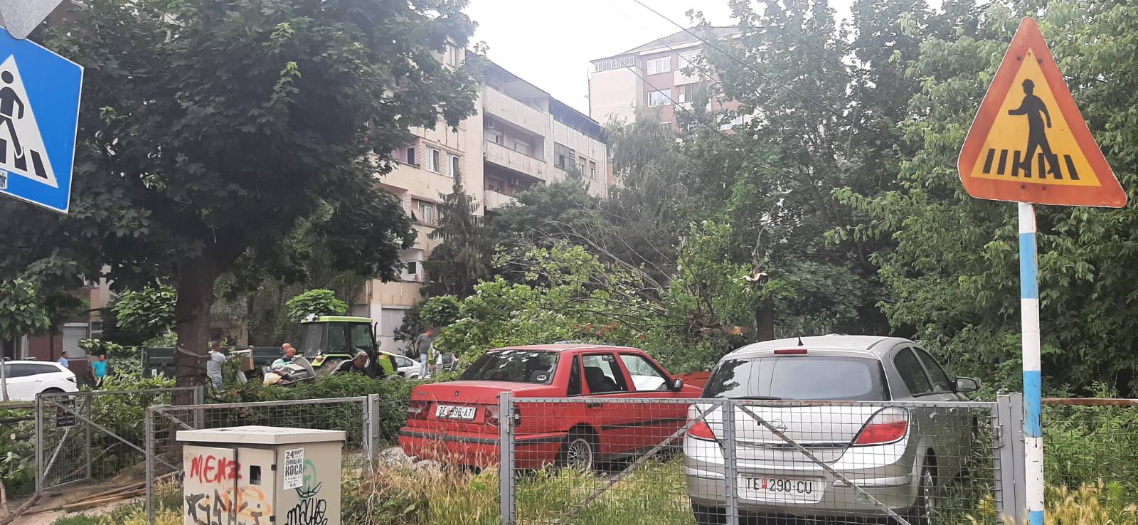 Од силниот ветер во Тетово дрво падна над паркирани автомобили