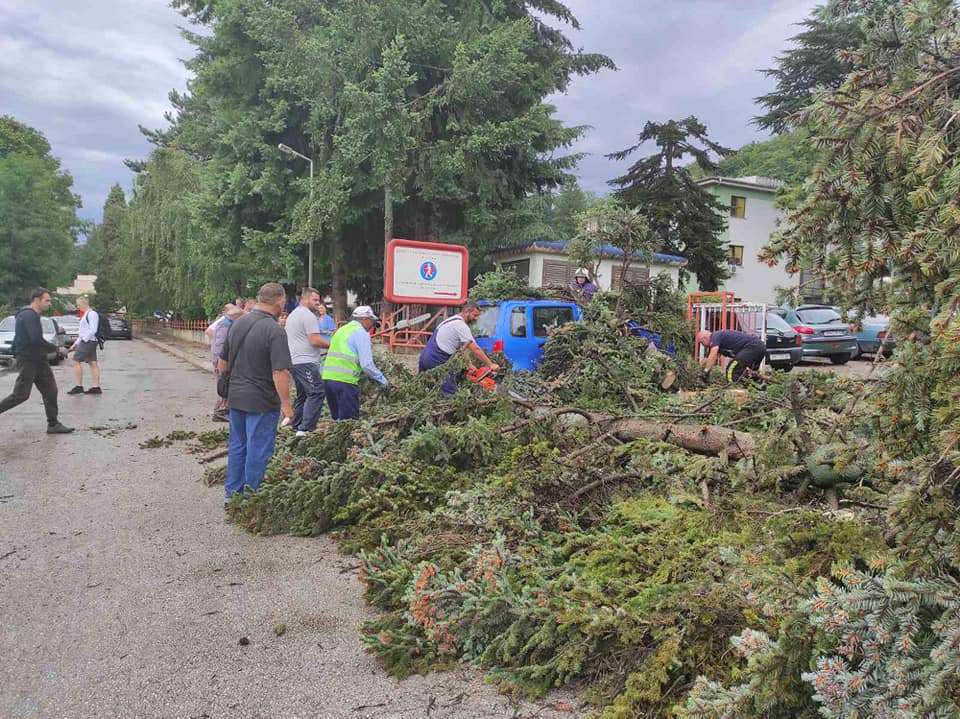 Големо невреме во Охрид – откорнати дрвја