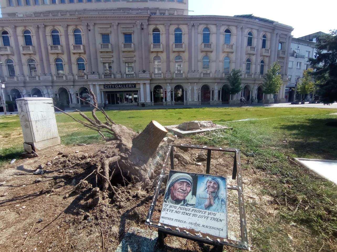 ЈП Паркови и зеленило со информација за отстранетото дрво на плоштадот Македонија
