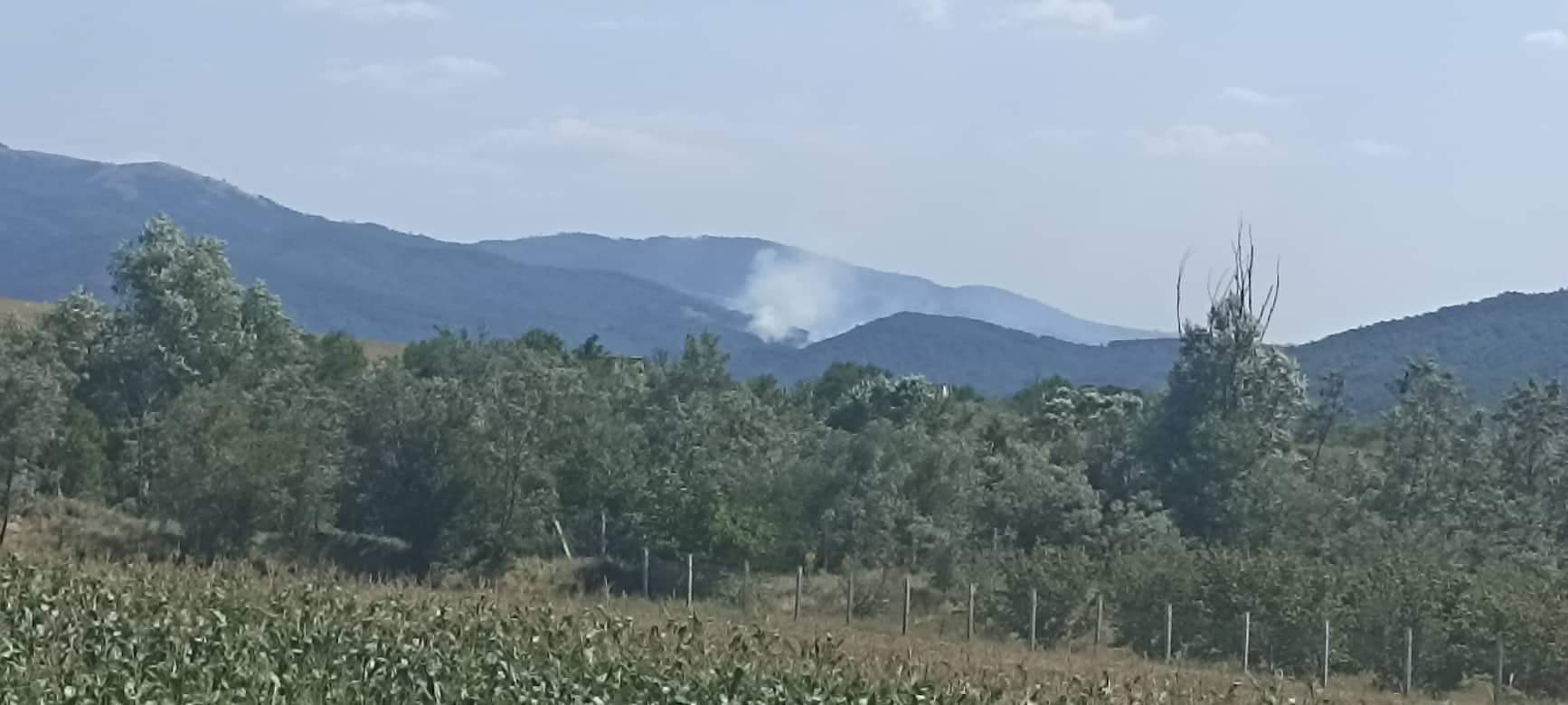 Локализиран пожарот во Делчевско