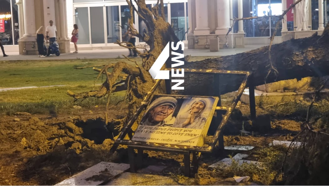 ФОТО: Два дена стои дрво паднато врз спомен плочата на Мајка Тереза