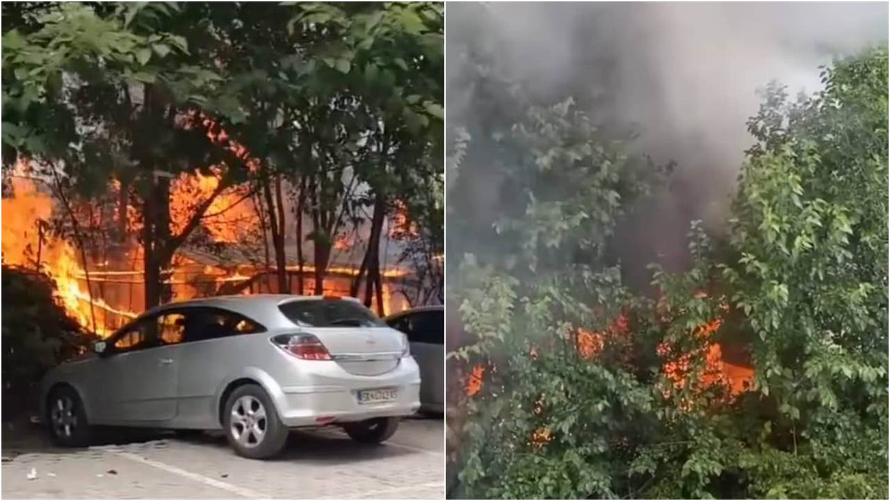 ФОТО: Голем пожар во скопски Аеродром