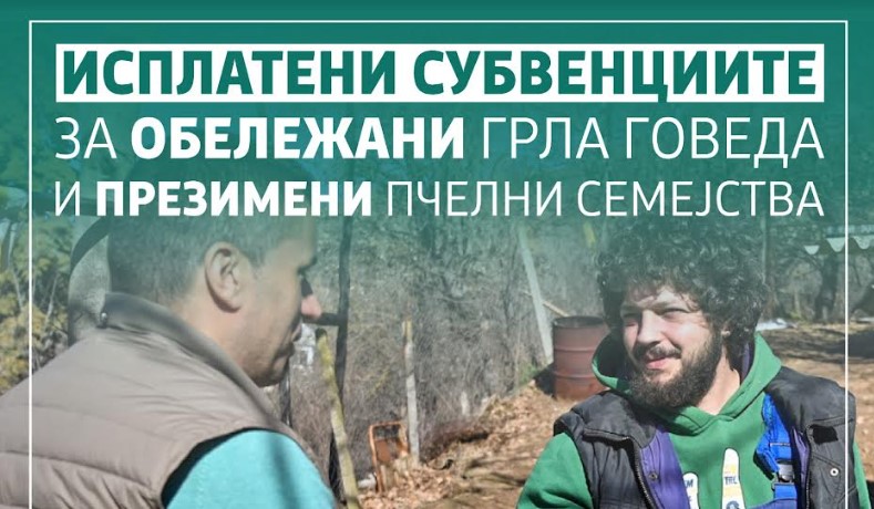 МЗШВ: Започнува исплатата на субвенциите за обележани грла говеда и презимени пчелни семејства