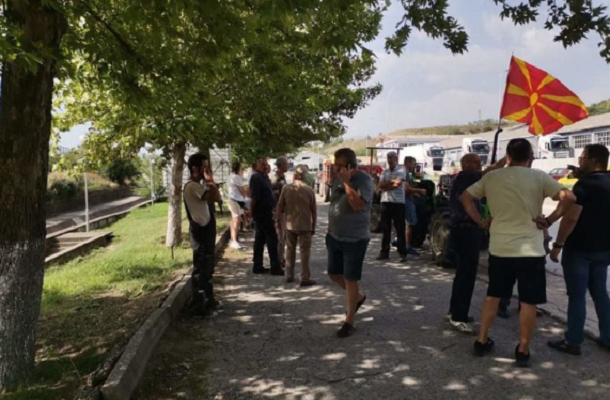Лозари протестираат во Неготино – бараат повисоки цени за грозјето и подобри услови за лозаропроизводство
