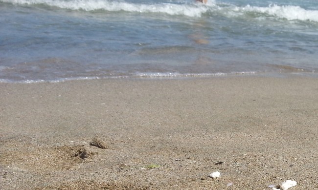 Двајца странци се удавија на јужниот брег на Црното Море во Бугарија