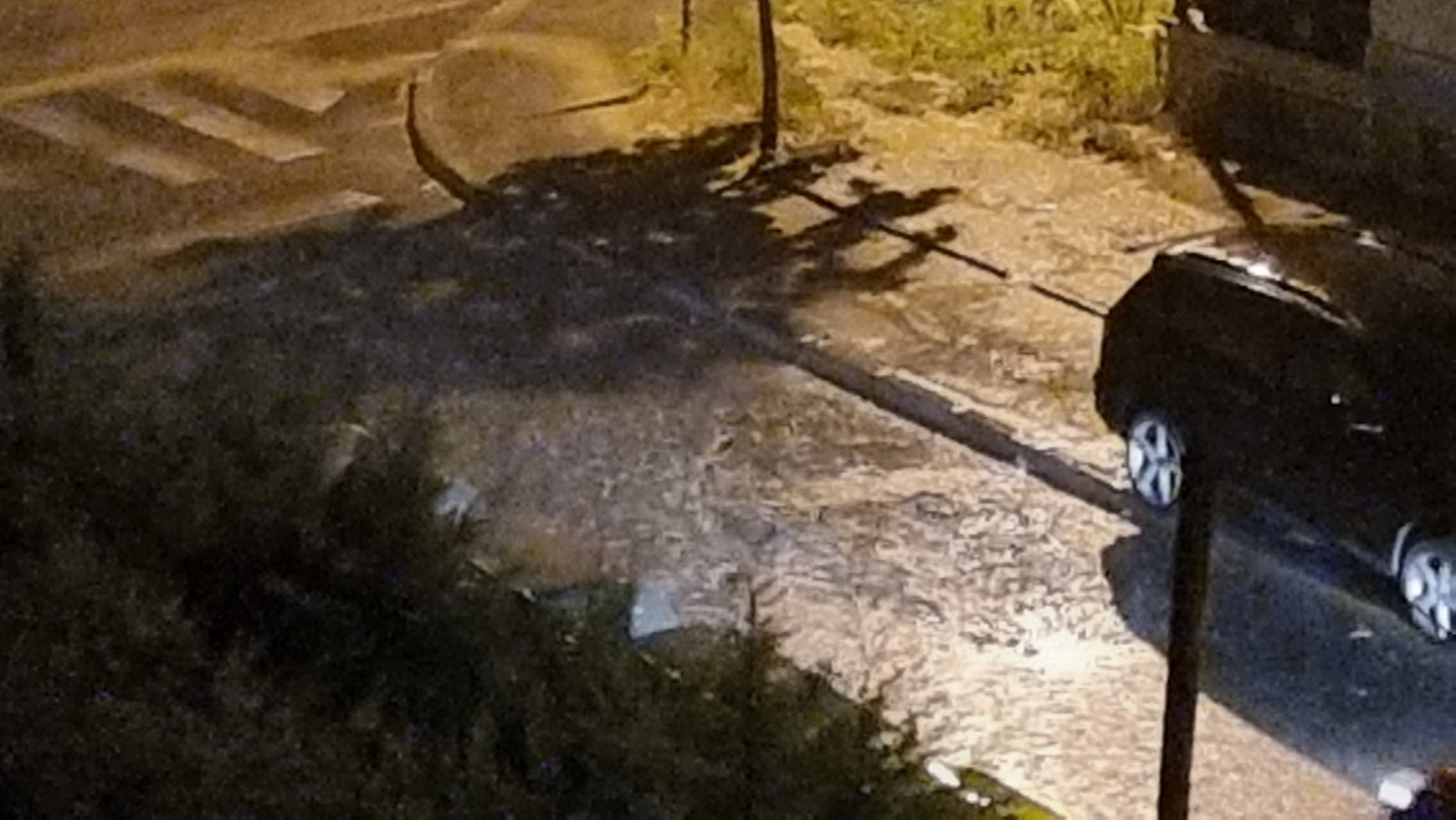 Силно невреме во Кавадарци – поплавени објекти