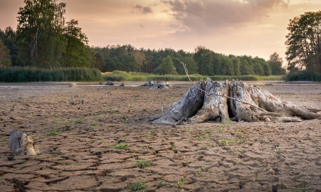 Светот оди во погрешна насока: Степените скокаат за 1,5 °C во рок од 5 години