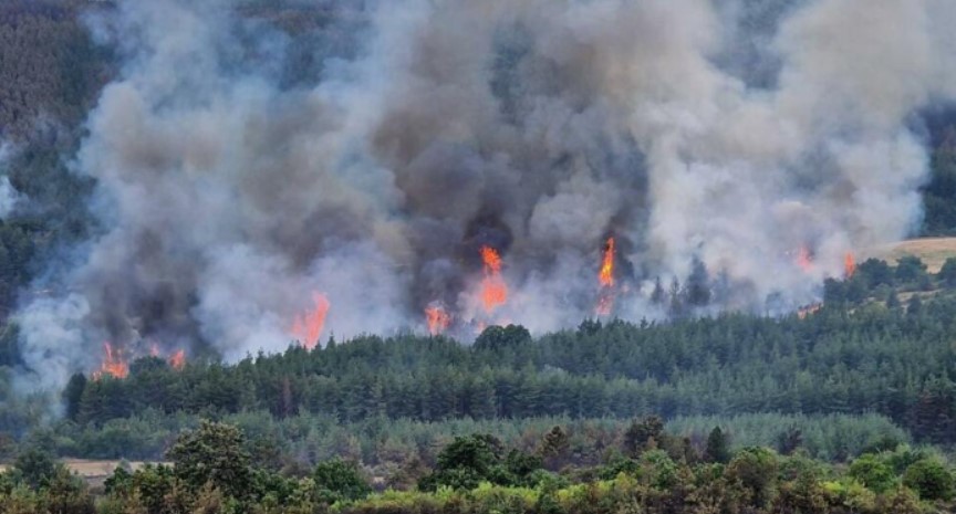 Пожарoт над селото Војница во месноста викана „Говедарица“ во општина Чашка, стевен под контрола