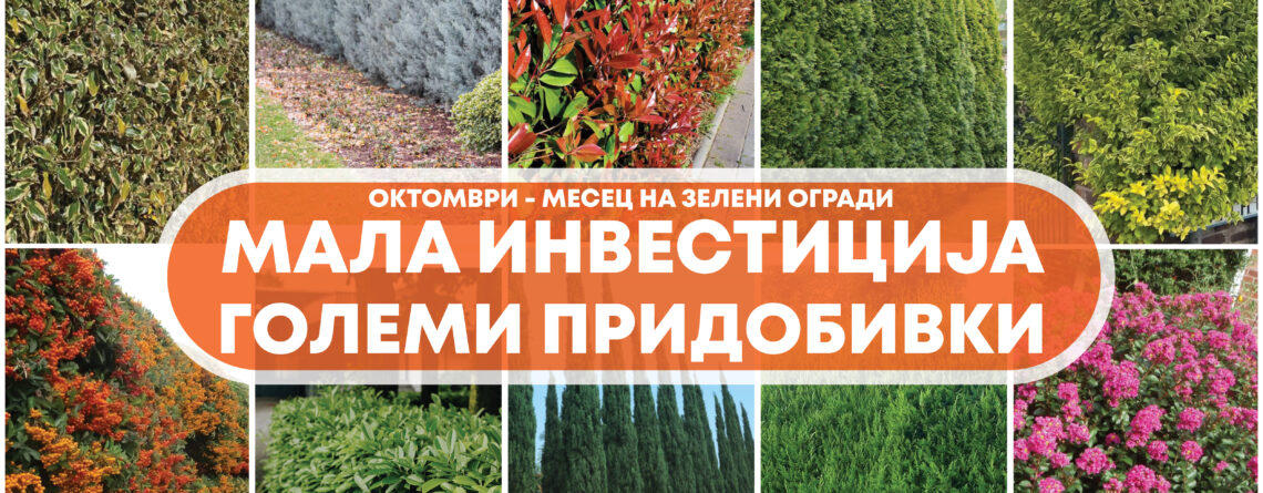 Зелена, жива ограда – Мала инвестиција со големи придобивки!