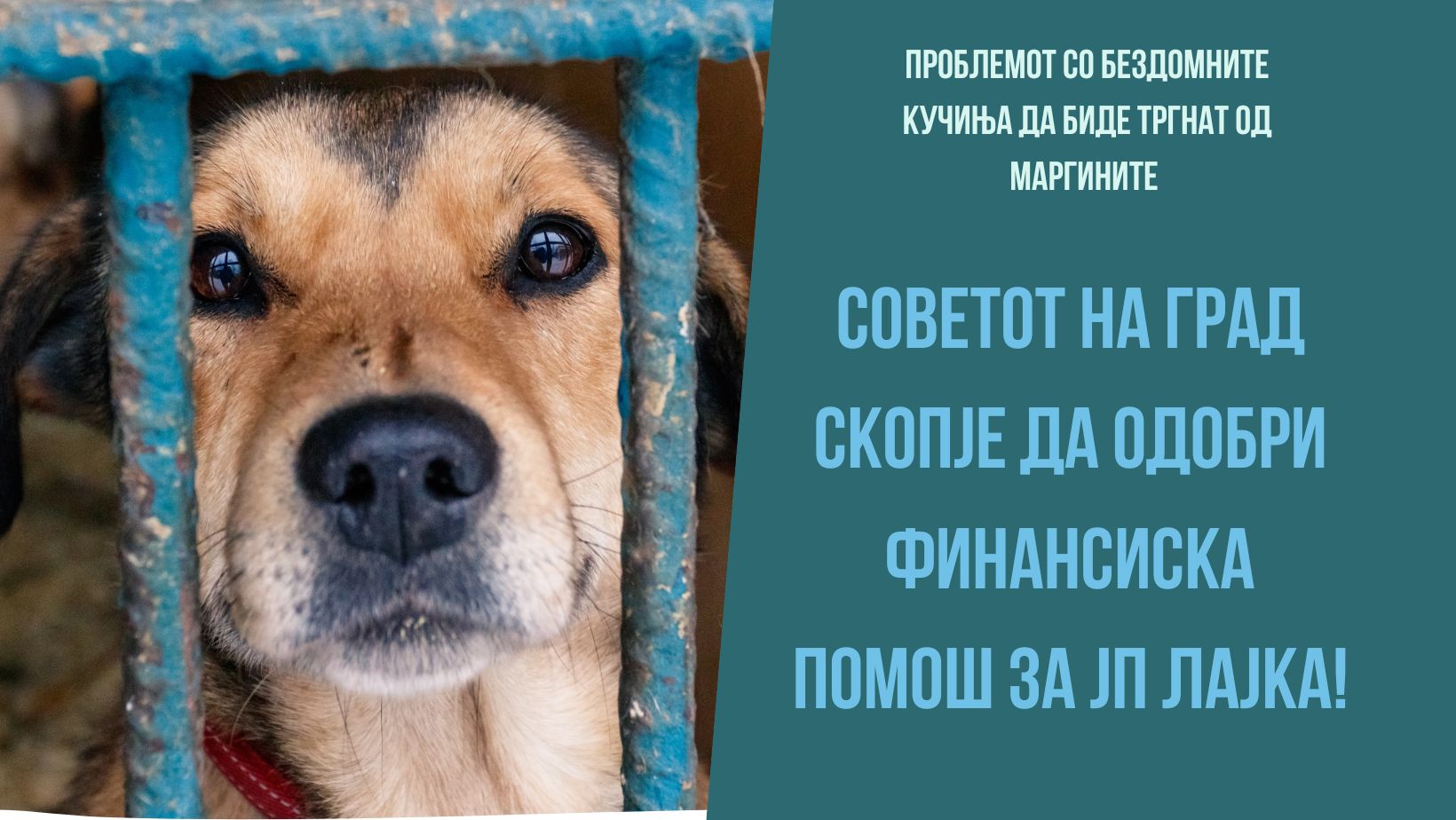 Анима Мунди: Советот на Град Скопје да одобри неповратна финансиска помош за ЈП Лајка