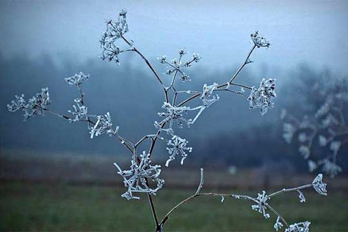-5 степени утрово во Крива Паланка, во текот на денот сув студ