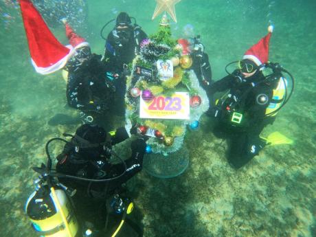 ФОТО: Блесна и подводната новогодишна елка во Охридското езеро