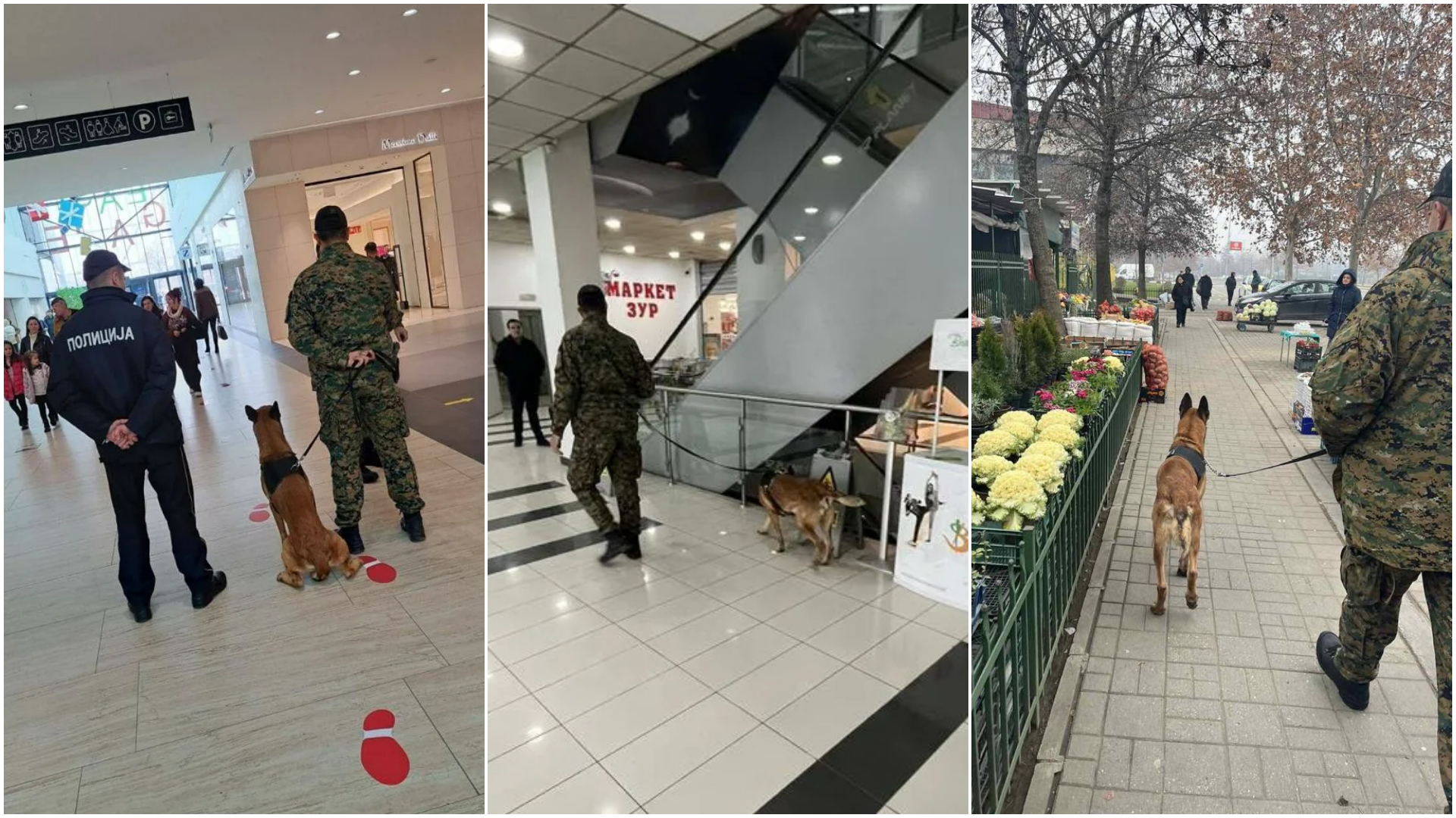 ФОТО: Нема дојави за бомби, но полицијата проверува со кучиња низ пазари, молови, гаражи…