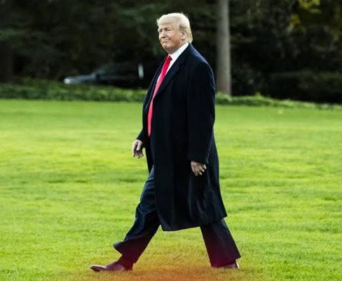 Мета ќе ги врати профилите на Фејсбук и Инстаграм на Доналд Трамп