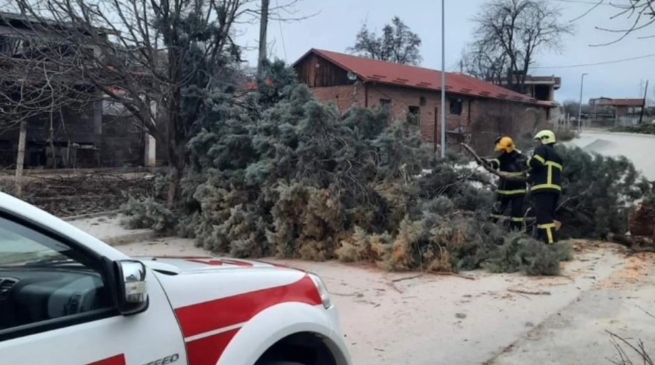 Силниот ветер откорна бандери и дрвја во Кавадаречко