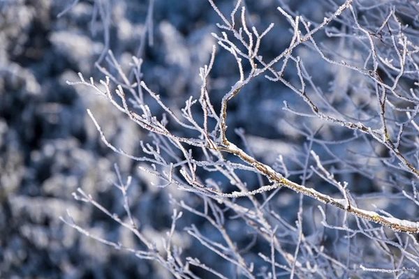 Температурите во Турција се спуштија до минус 20 степени
