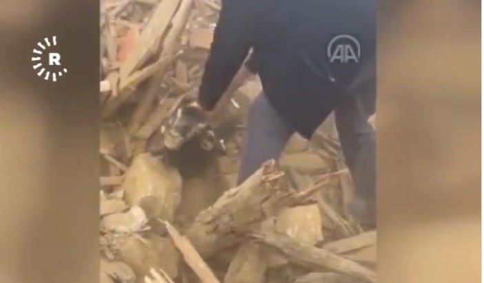 ВИДЕО: Кози извлечени живи 26 дена по земјотресот
