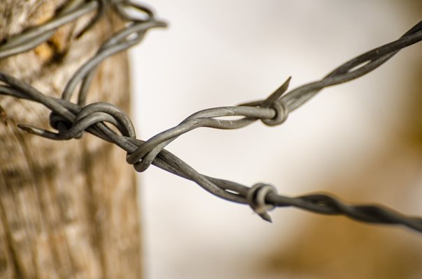 Шест лица, меѓу кои и едно дете, загинаа при обид илегално да преминат од Канада во САД