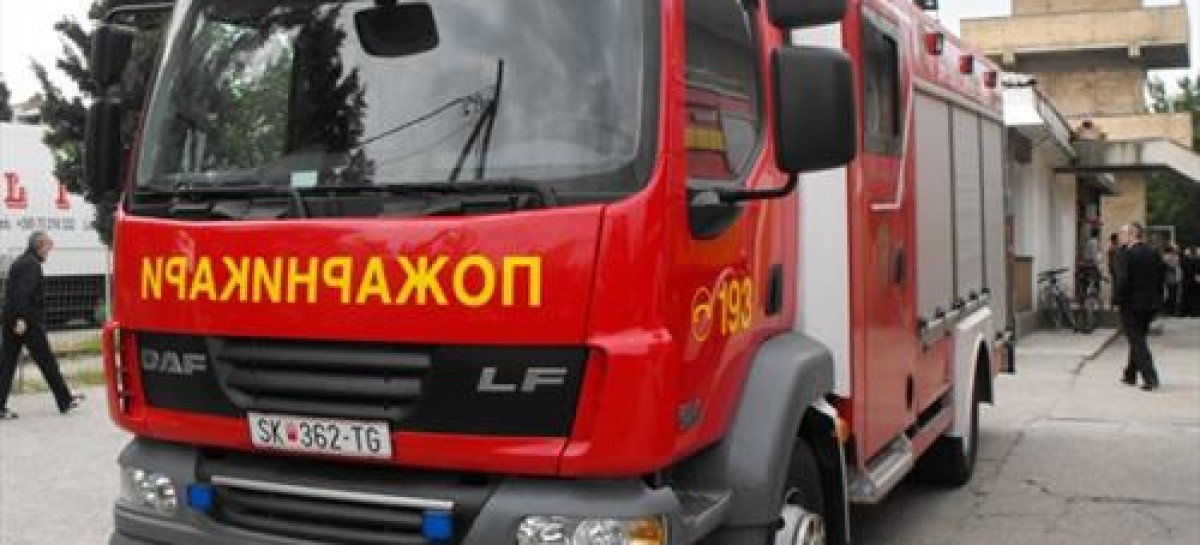 Запалена борова шума на Плачковица, екипите се на терен