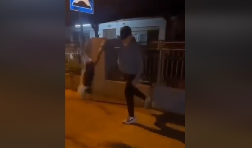 ВИДЕО: Скопјанец малтретира мачка, „Анима мунди“ бара одговорност