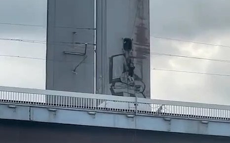 „ВИКАЈТЕ ПОЛИЦИЈА! Видео од Белград кое ја замрзнува крвта во вените: Момче и девојка земаа скала и се упатија кон врвот на мостот!