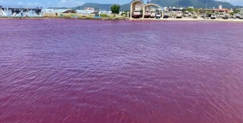 ВИДЕО: Морето преку ноќ поцрвене, мештаните и туристите шокирани