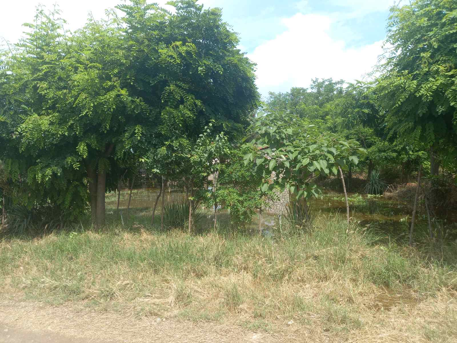 Зголемено нивото на водата кај Облешево – поплавени дворови од куќи
