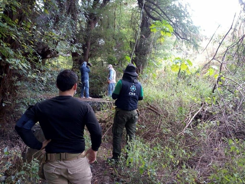 Хорор во Мексико: Пронајдени 22 тела во тајни масовни гробници