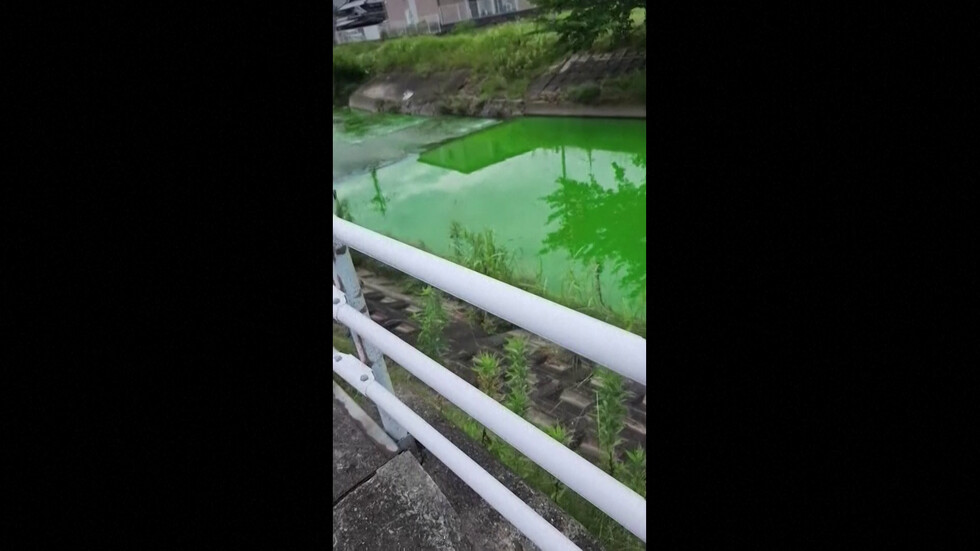 ВИДЕО Реката во Јапонија стана светло зелена, ги бараат причините