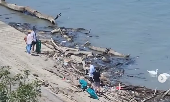 ВИДЕО На жештините отидоа на плажа, но не за да се освежат: Белграѓани ги гледаат и речиси сите имаат ист коментар