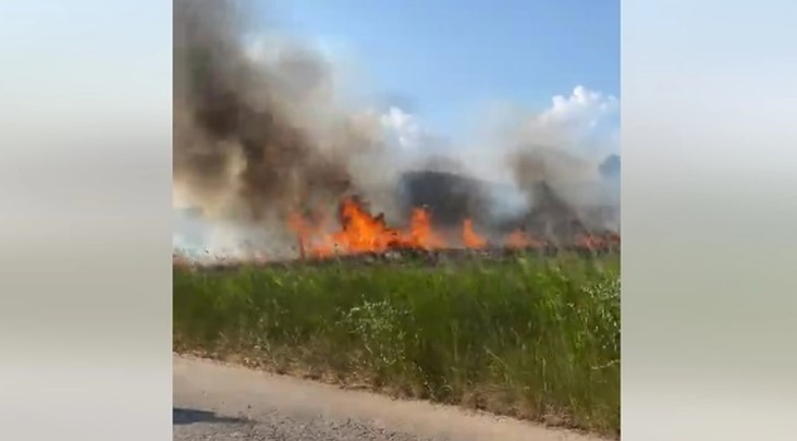 Пожарот на Халкидики под контрола: Гореше во Ситонија, пожарникарите веднаш реагираа