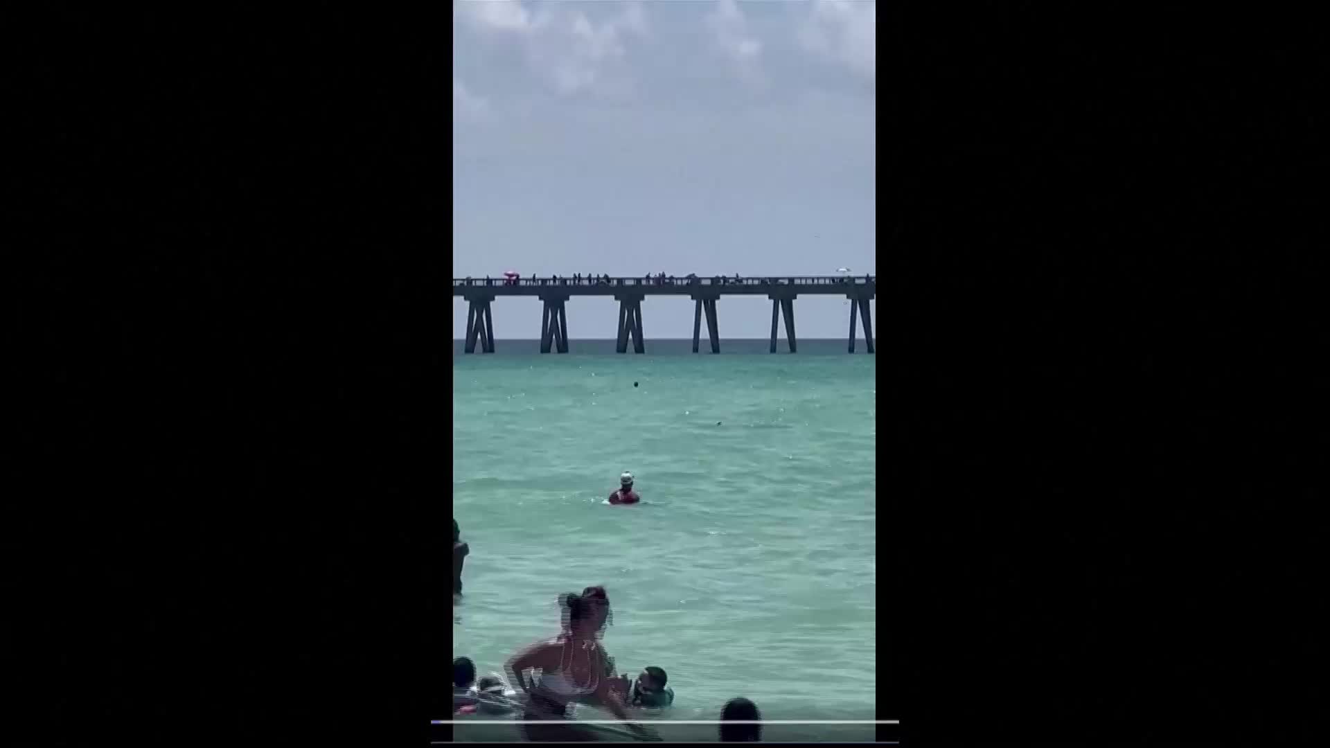 ВИДЕО Ајкула се појави меѓу луѓето на плажа во Флорида