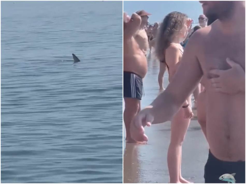 ВИДЕО: Ајкули пливаа покрај плажа во Шпанија