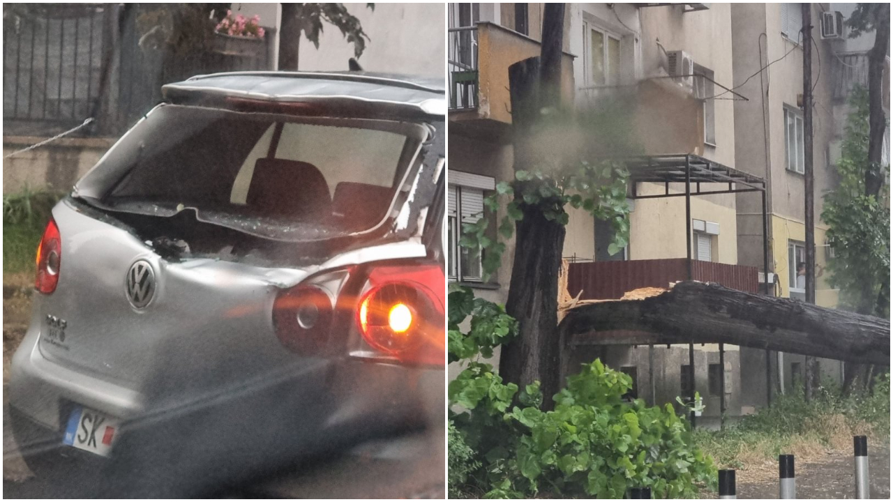 Дрво падна на автомобил додека се движел (ФОТО+ВИДЕО)