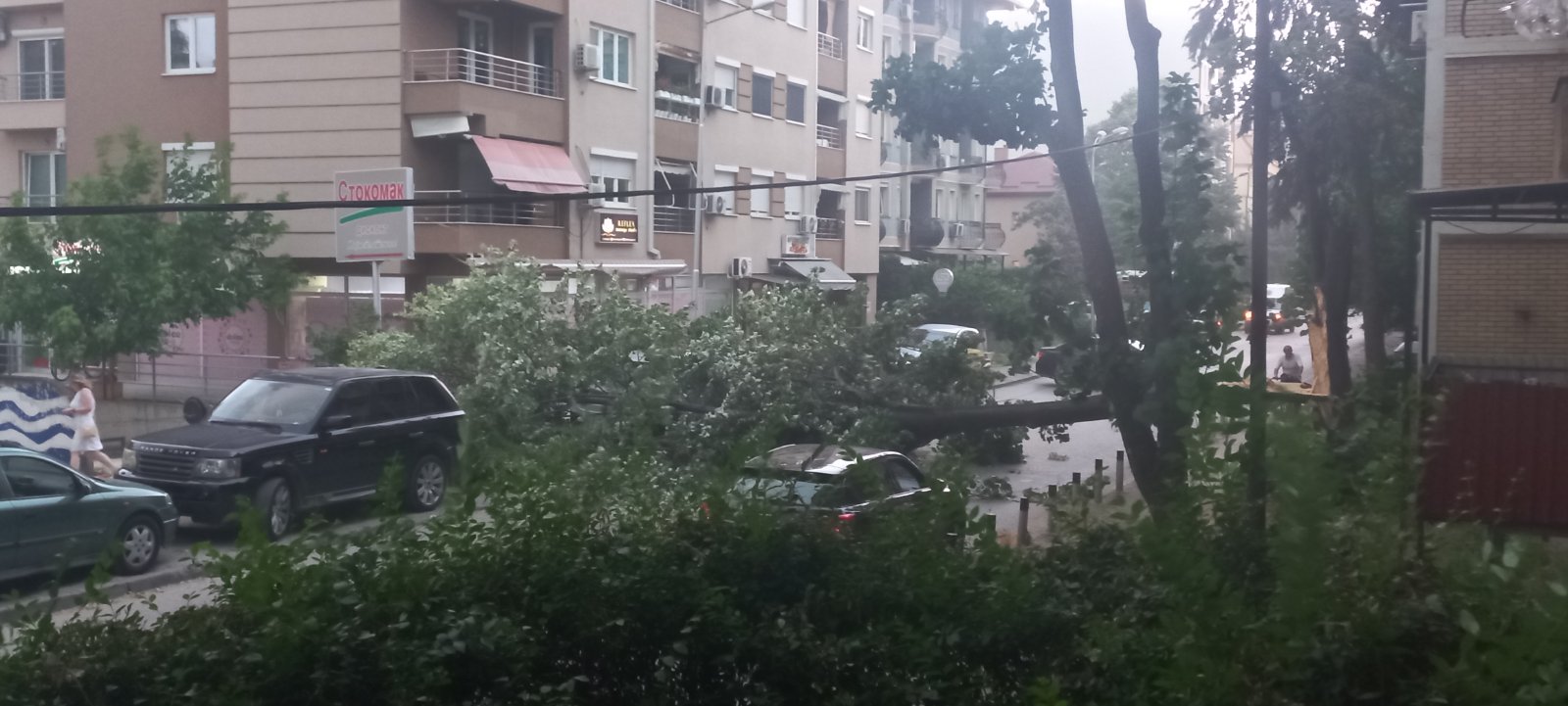 Дрво падна во Скопје, силно невреме ја зафати скопската котлина (ФОТО)