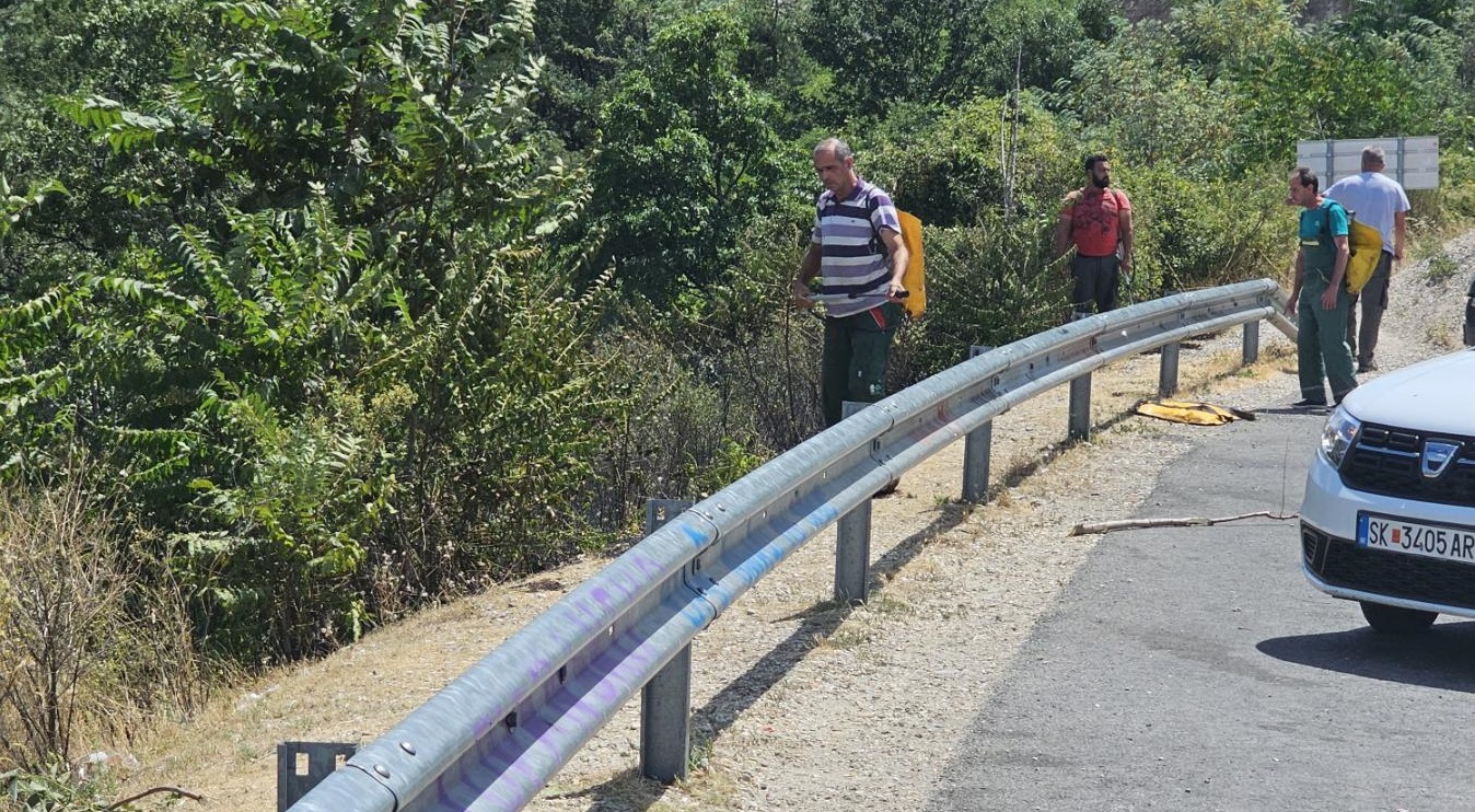 Пожар на Водно
