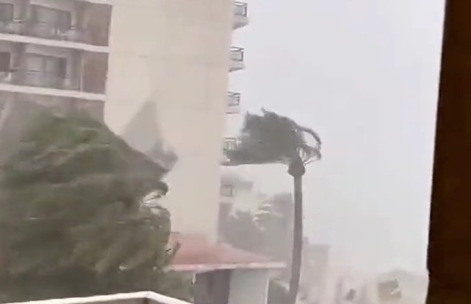 ВИДЕО Страшна бура ја погоди Мајорка, ветерот корне палми, туристи се криеја зад своите автомобили