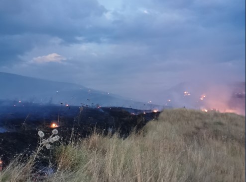Изби пожар во близина на Свети Николе