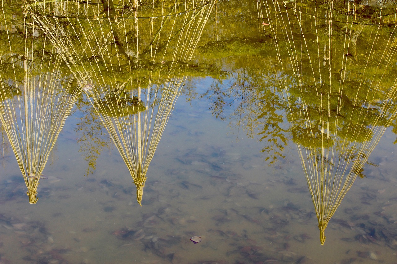 Јапонија испушти трета серија радиоактивна вода од Фукушима