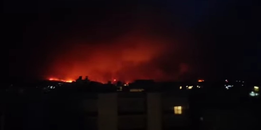 ХОРОР ВО ГРЦИЈА: Во шума пронајдени 18 јагленосани тела
