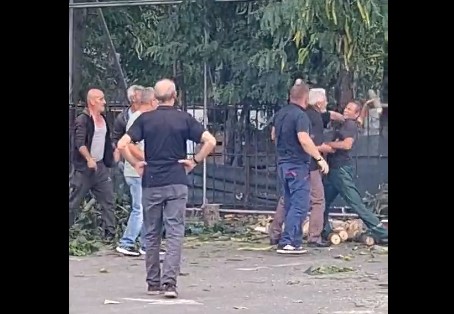 ВИДЕО Со дрва по глава, се степаа вработени во „Паркови и зеленило“ Скопје