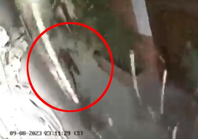 ВИДЕО: Неверојатна среќа во Мароко, човек се спасува од сигурна смрт во последен момент