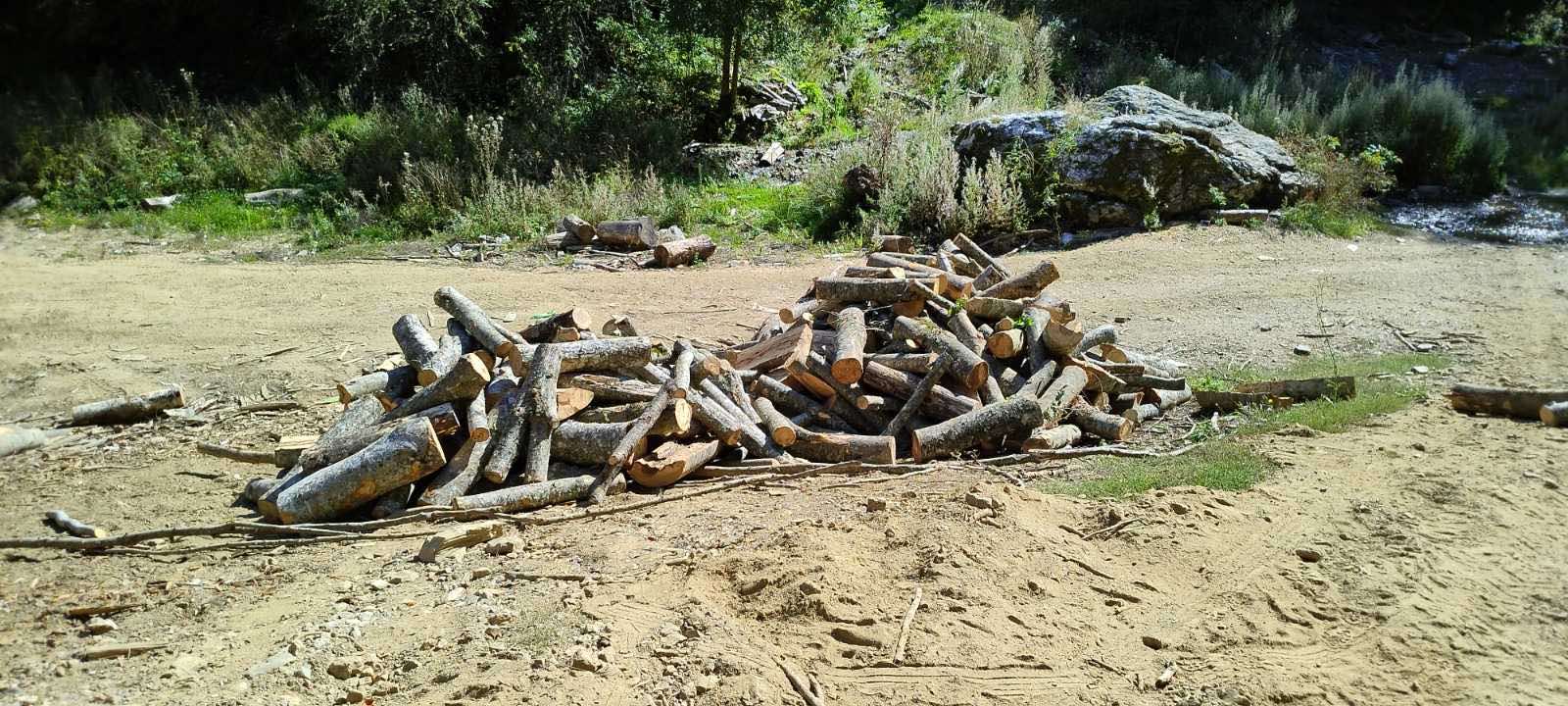 Во голема полициска акција на Скопска Црна Гора запленети 400 кубици бесправно исечено огревно дрво, приведени 10 дрвокрадци
